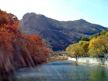 管家婆黑白马报图库，刘野